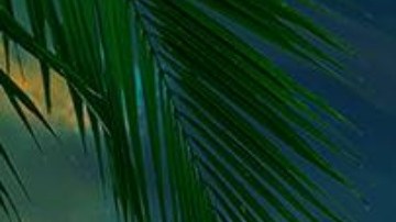 'La Isla: Desafío Extremo', reality show de Telemundo.