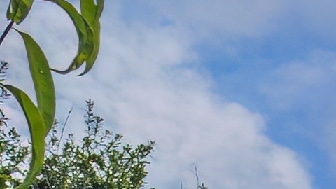 La Toscana