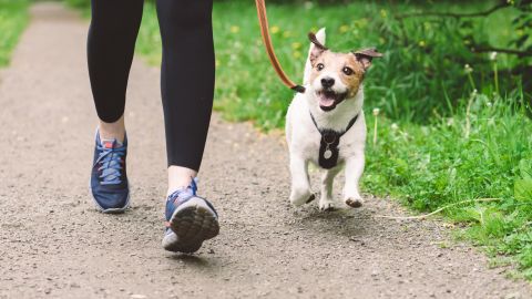 Caminar con el perro