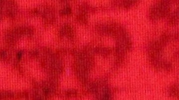 Lis Vega, actriz cubana.