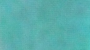 Lupillo Rivera, cantante.