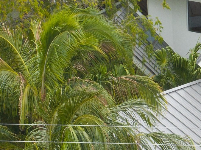 Parece ser que Gisele Bündchen y Joaquim Valente están compartiendo la casa.