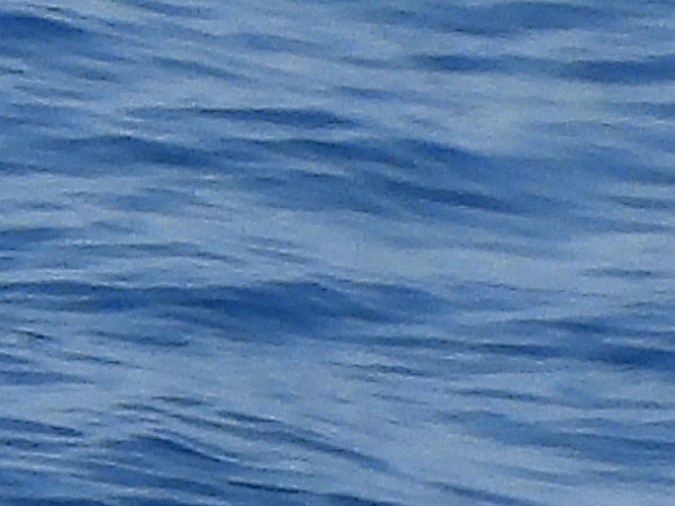 Jeff Bezos ha recibido a personalidades de Estados Unidos en su megayate de $500 millones de dólares.