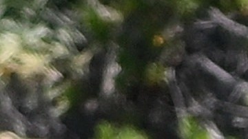 Sydney Sweeney tiene acceso a muchas comodidades y lujos en su residencia frente al mar.