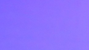 Maripiy Rivera y Clovis Nienow en el programa 'En Casa con Telemundo'.