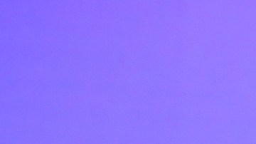 Maripiy Rivera y Clovis Nienow en el programa 'En Casa con Telemundo'.