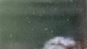 La lectura de cargos para Johnson estaba pendiente en el Tribunal Penal de Manhattan.