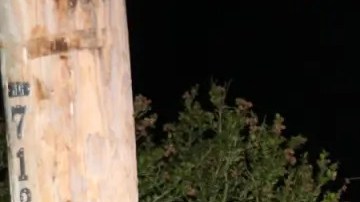 Osetkowski fue acusado de conducir en estado de ebriedad, conducción imprudente, peligro imprudente, conducta criminal y varias citaciones de tráfico.