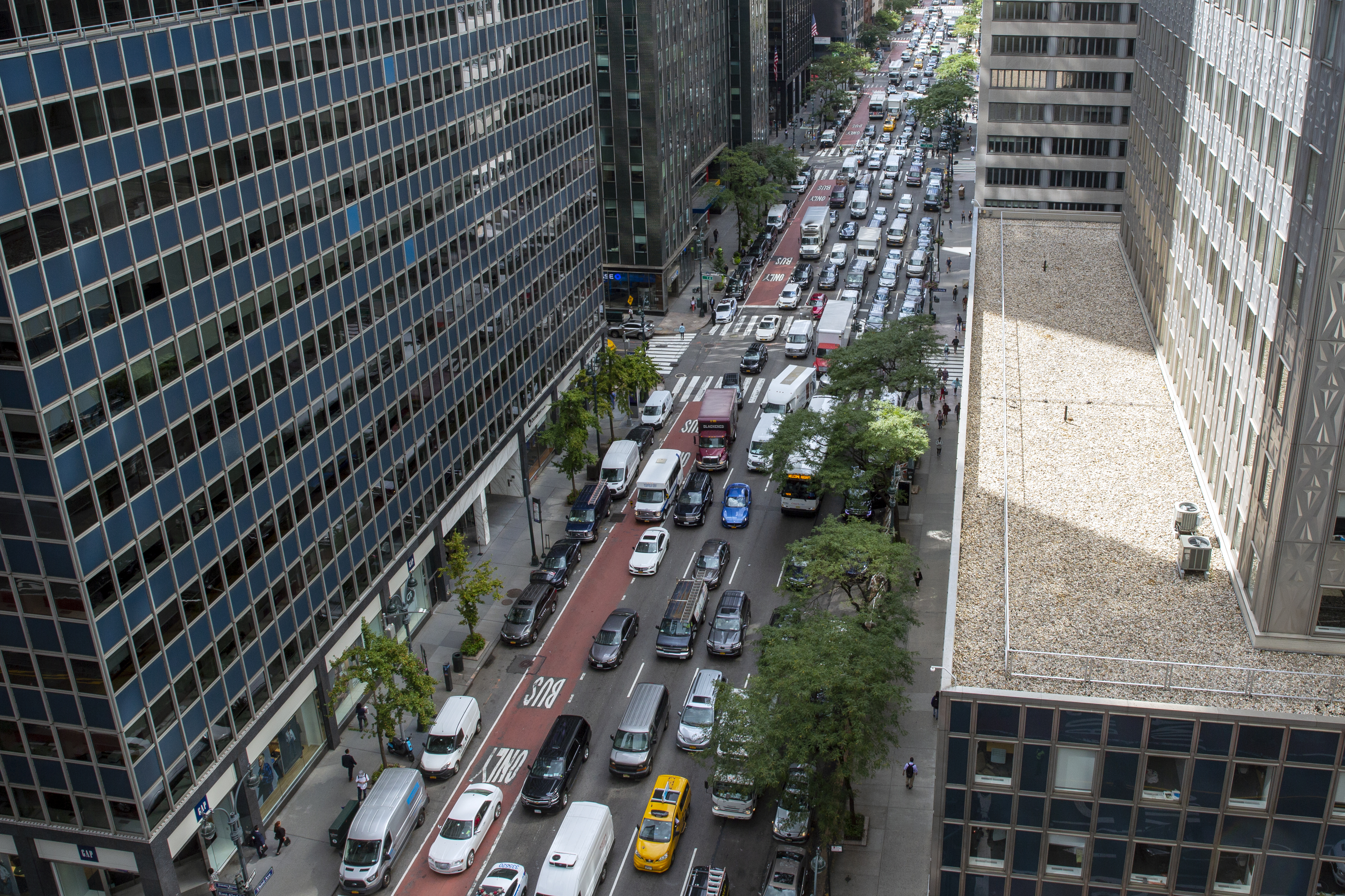 El tráfico afecta a muchas personas en USA. Foto: CDN   