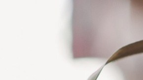 El principal funcionario del sistema educativo de Oklahoma exigió a escuelas públicas que enseñen a estudiantes la Biblia.