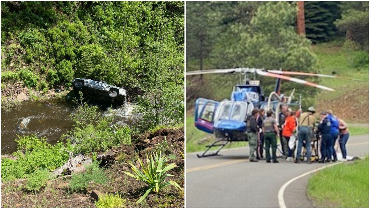Perrito caminó millas para pedir ayuda y rescatar a su dueño que cayó con su vehículo en barranco de Oregon