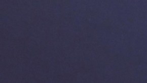 Raúl de Molina, presentador de televisión.