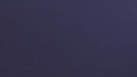 Raúl de Molina, presentador de televisión.