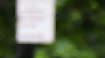 Naomi Watts y Billy Crudup