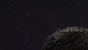 Teófimo López vs. Steve Claggett. Foto: Cortesía / Top Rank.