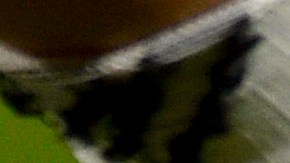 Imagen referencial balón.