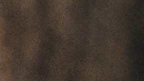 Jugar ajedrez es una excelente manera de mantener agilidad mental y un cerebro saludable.