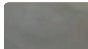 Asesinato de Joselyn Jhoana Toaquiza en Nueva York