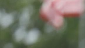 Seguidores del expresidente Donald Trump en un evento de campaña.