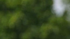 Jugadores de la selección argentina de fútbol durante un entrenamiento este miércoles en Atlanta (Estados Unidos).