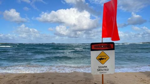 credit_honolulu_emergency_services_department_1719208564027_hpMain_4x3