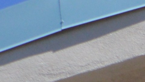 dollar-tree-99-cents-only