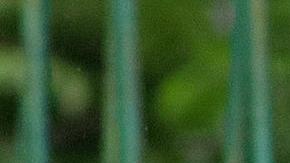 Fotografía de migrantes en una calle este lunes, en el municipio de Tapachula en Chiapas (México).