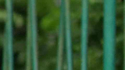 Fotografía de migrantes en una calle este lunes, en el municipio de Tapachula en Chiapas (México).