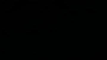 Simpatizantes de la candidata oficialista a la presidencia de México, Claudia Sheinbaum, celebran en el Zócalo tras conocer los primeros resultados en las elecciones.