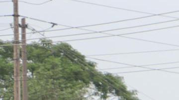 Caravana de Migrantes