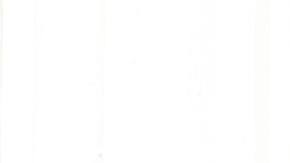 Nayib Bukele se reunió con Donald Trump Jr tras asistir a la investidura presidencial en El Salvador