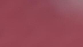 Félix Sanchez, entrenador de Ecuador.