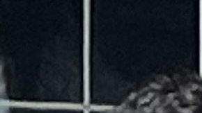 Denuncian a la administración municipal por incumplir acuerdo para construir albergues para neoyorquinos transgénero