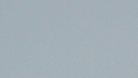 impuestos-irs-ingresos-no-gravables