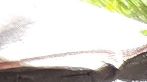 Los votantes mayores de 50 años han demostrado ser un bloque electoral poderoso en las urnas.