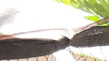 Los votantes mayores de 50 años han demostrado ser un bloque electoral poderoso en las urnas.