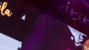 El Grupo Niche será uno de los muchos artistas que participarán del concierto salsero.