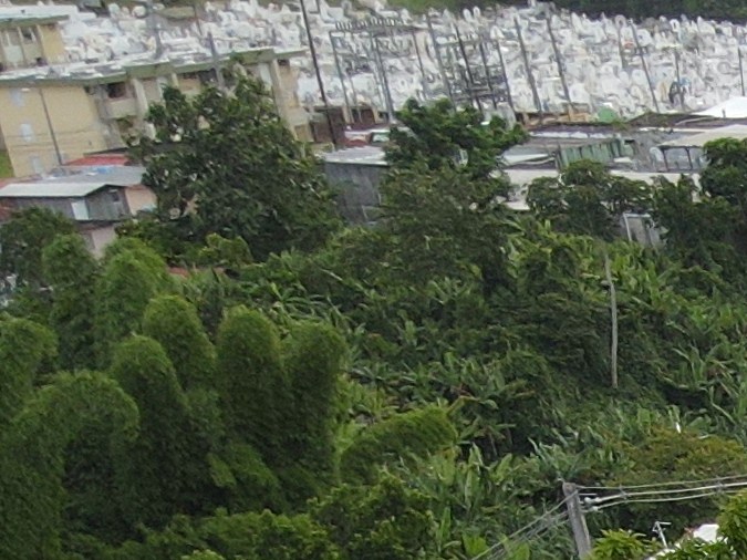 Proyectos de energía solar de Casa Pueblo en Adjuntas, Puerto Rico.