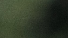 Alquiló una habitación barata en Nueva York y descubrió la razón: había un cementerio al lado