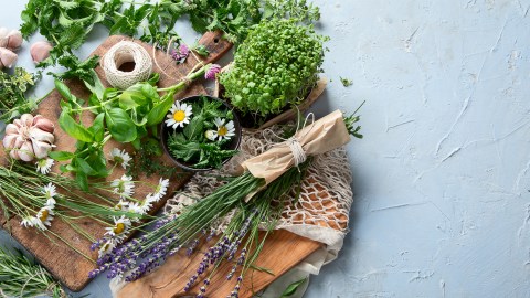 Hierbas aromáticas