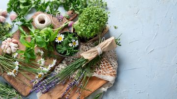 Hierbas aromáticas