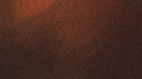 Different,Types,Of,Tropical,Cocktails,,Summer,Style,Tiki,Bar,Drinks