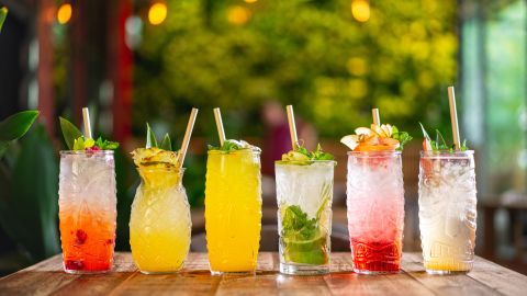 Different,Types,Of,Tropical,Cocktails,,Summer,Style,Tiki,Bar,Drinks