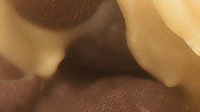 Masa de galletas