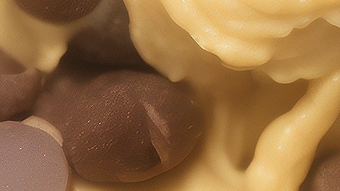 Masa de galletas