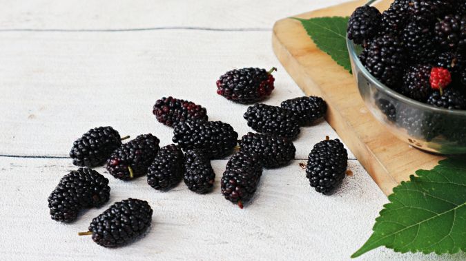 Moras