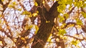 Summer Fancy Food Show