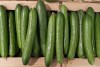Pepinos