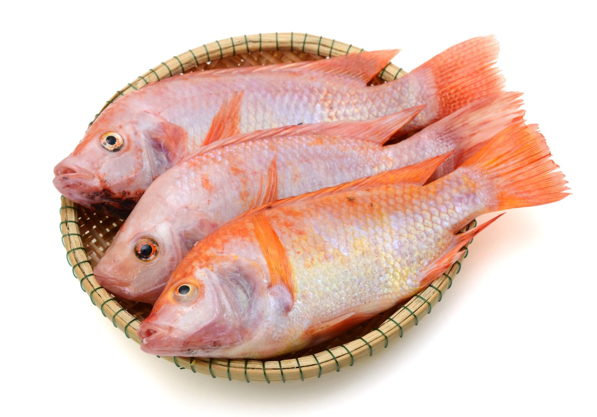 3 pescados menos recomendados según los expertos