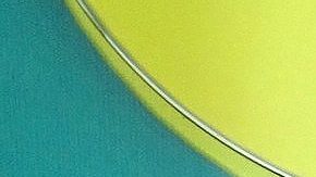 José Eduardo Derbez y Paola Dalay